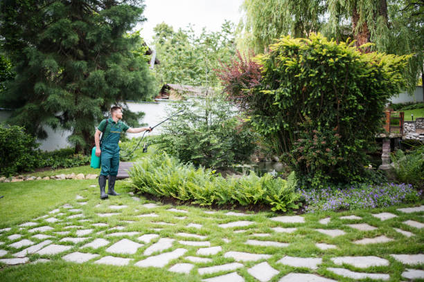 Best Best Pest Control Companies  in Lewiston, MN