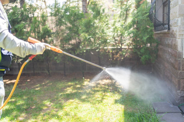Best Wasp Removal Services  in Lewiston, MN