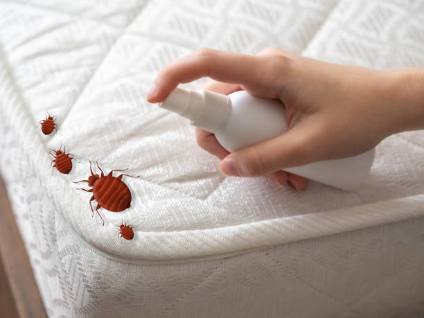 Best Emergency Pest Control  in Lewiston, MN