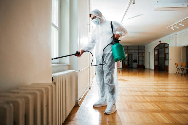 Best Termite Control Services  in Lewiston, MN